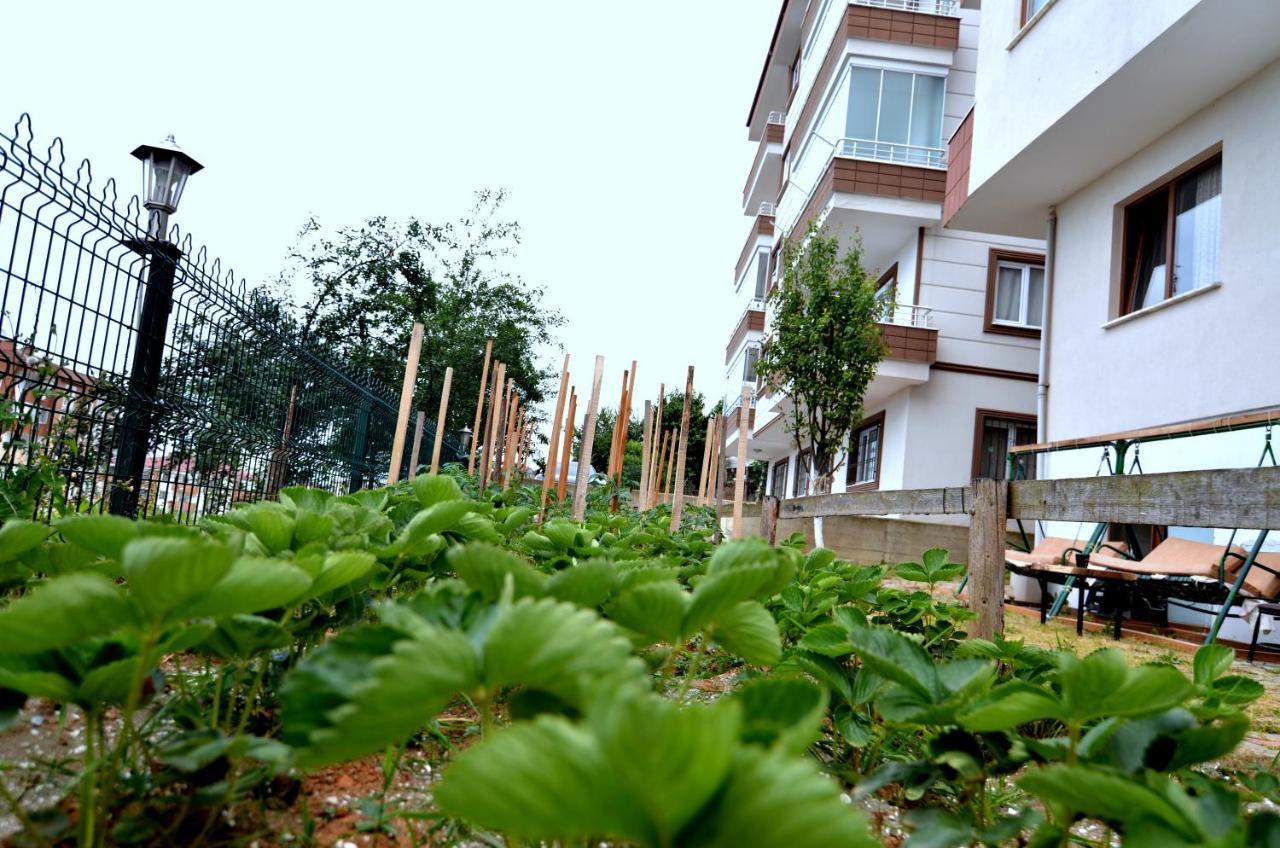 Konaklar Apart Premium Trabzon Kültér fotó